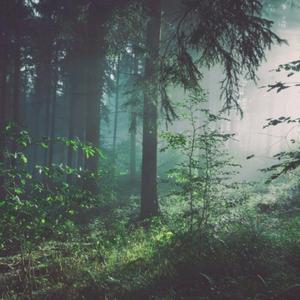 妈妈がだけの母さん歌词孕妇
